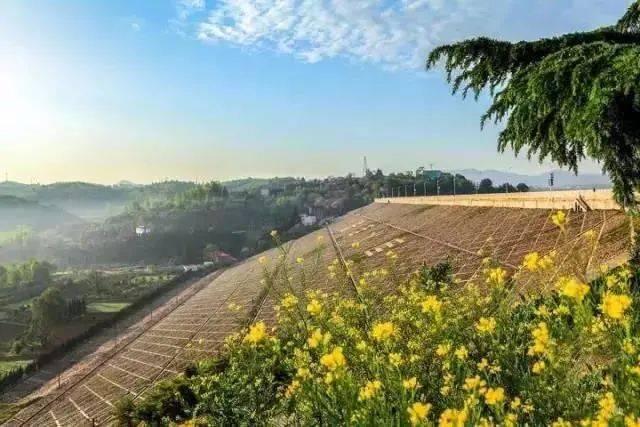 绿城杭州余杭区北部新城商住项目公示 拟建13栋高层住宅